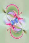 Columbine flower-Colorado Art Print